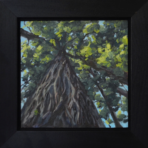 Click to view detail for In the Tree Tops 6x6 $290